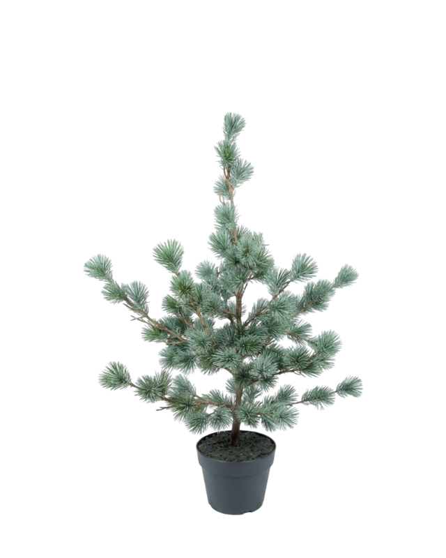 Rene Houtman Larix Boom S | Real Touch | H85 x D50 cm
