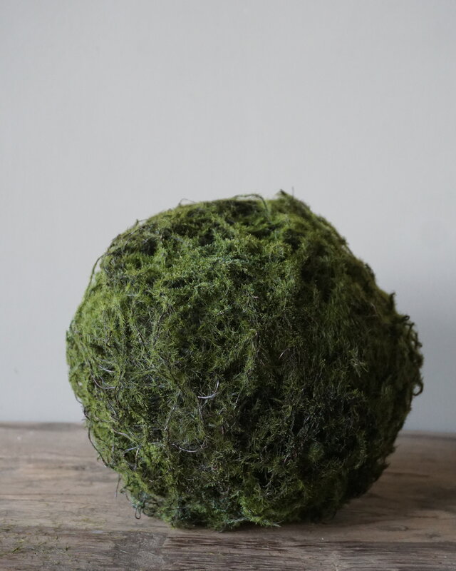 Rene Houtman Mos Bal M Real Touch Ø21