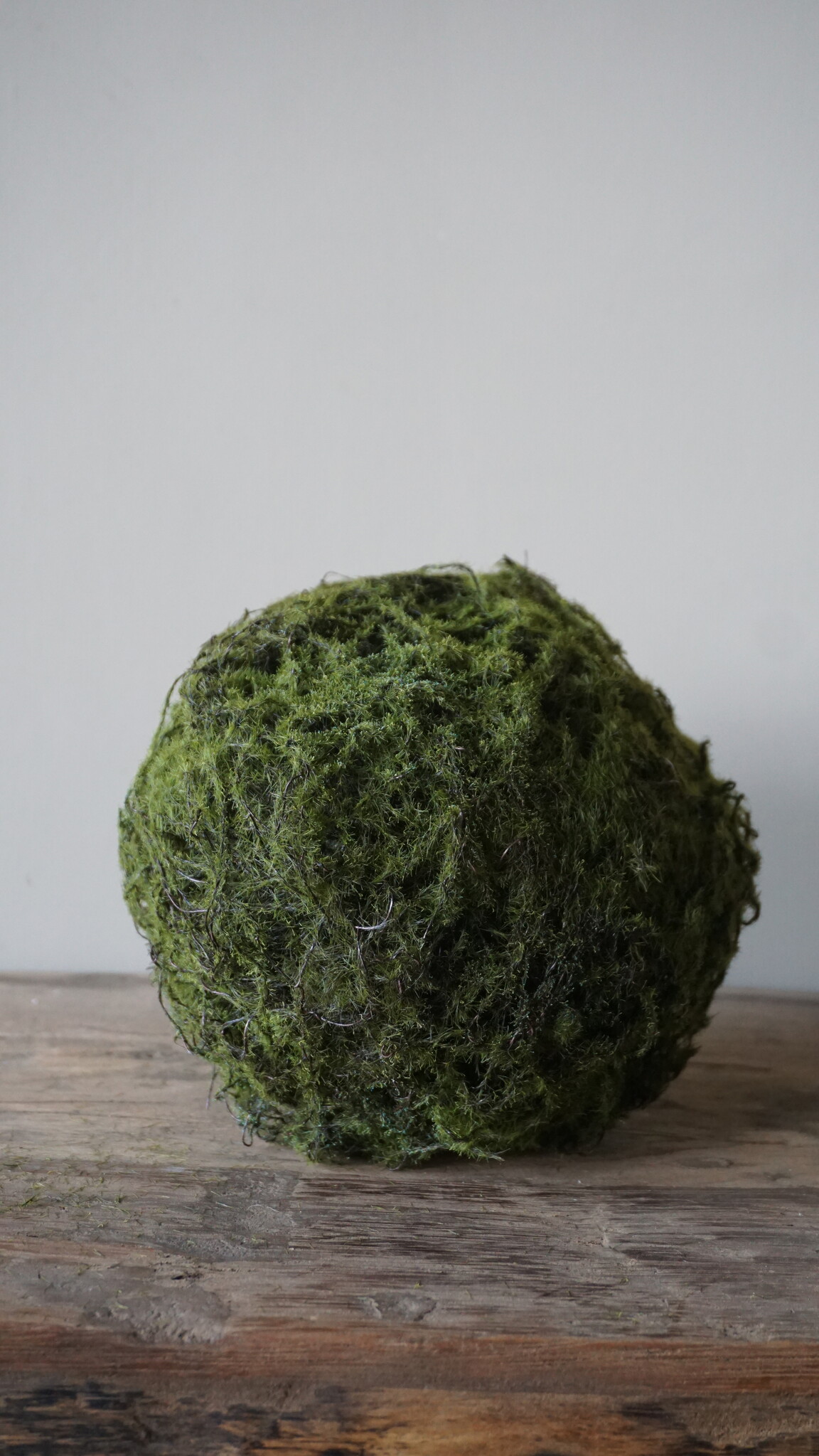 Rene Houtman Mos Bal M Real Touch Ø21