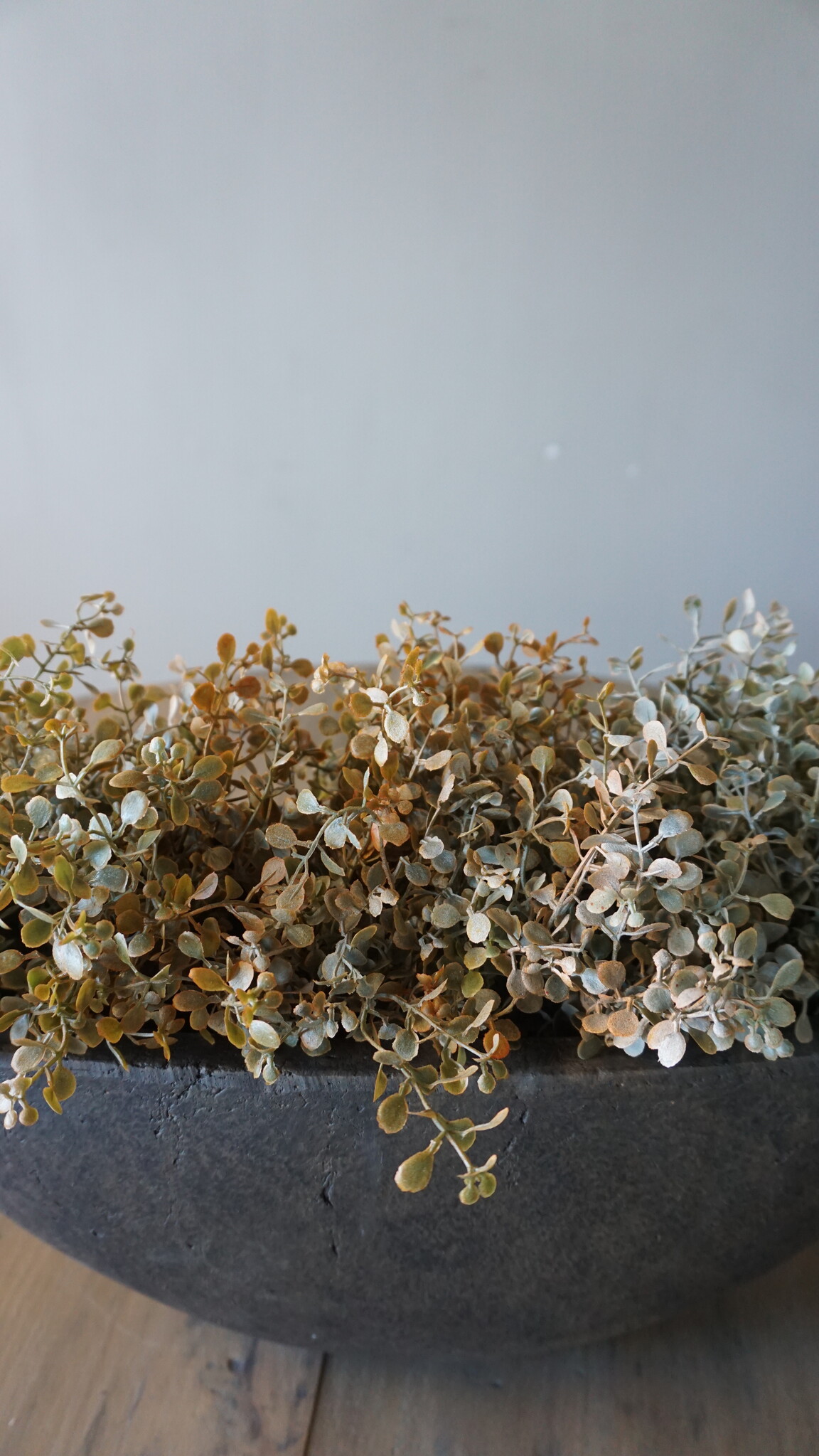 Brynxz Kunsttak Ginkgo | Herfst | H33 cm