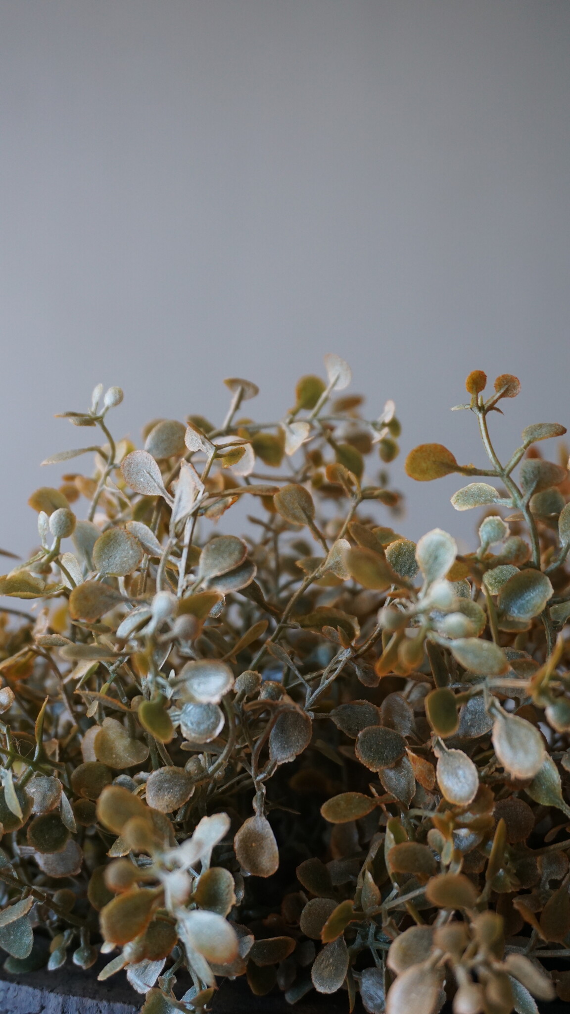 Brynxz Kunsttak Ginkgo | Herfst | H33 cm