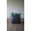 Plantenbak Ovaal Met 2 Oren | Majestic Brown | H24xB36xD16 cm