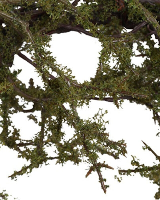 Rene Houtman Krans Frangula Sphagnum | Bruin | L | D45 cm