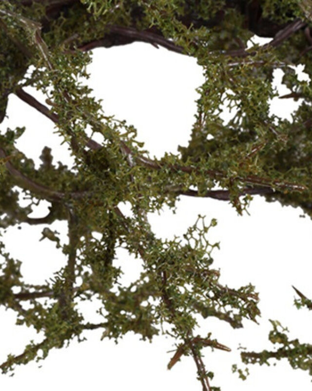 Rene Houtman Krans Frangula Sphagnum | Bruin | S | D35 cm