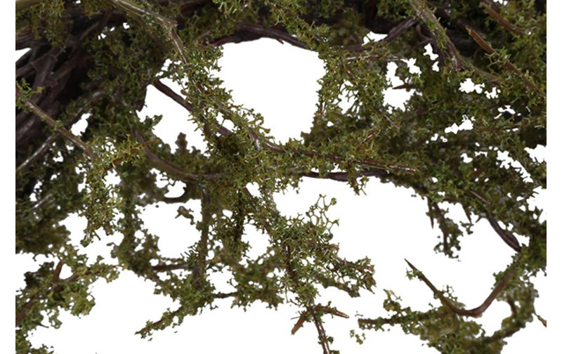 Rene Houtman Krans Frangula Sphagnum | Bruin | S | D35 cm