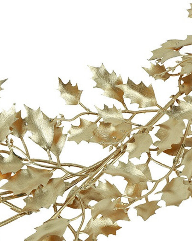 Rene Houtman Guirlande Exacum | Goud | L170 cm