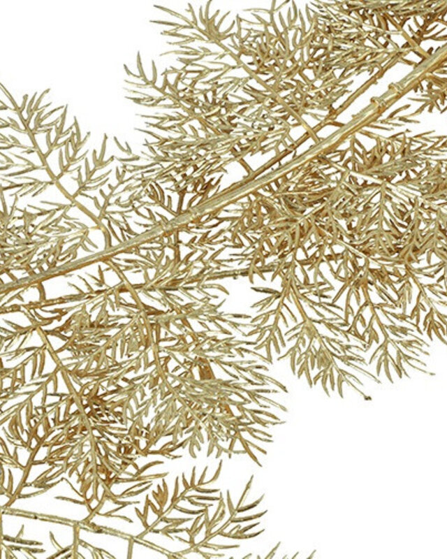Rene Houtman Guirlande Asplenium | Goud | L170 cm