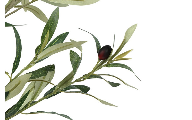 Rene Houtman Plant Olijf Groen – H184 cm