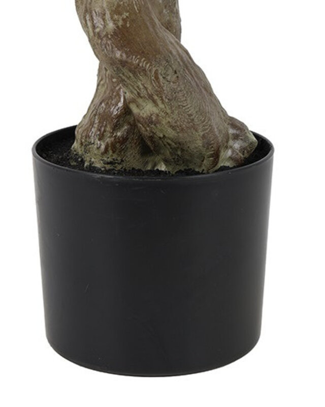 Rene Houtman Plant Olijf Groen – H184 cm