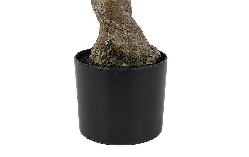 Rene Houtman Plant Olijf Groen – H184 cm