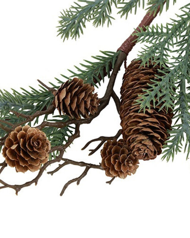 Rene Houtman Guirlande Met Dennenappels | Picea Abies | L180 cm