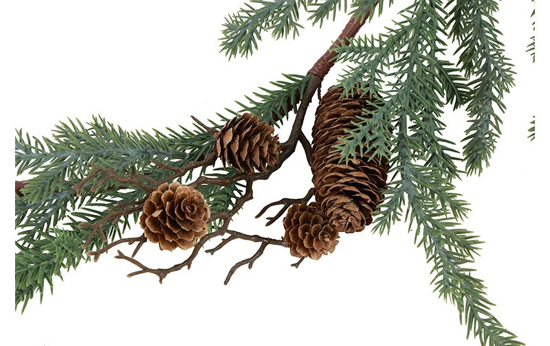 Rene Houtman Guirlande Met Dennenappels | Picea Abies | L180 cm