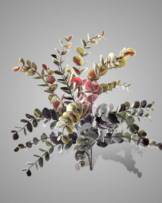 Brynxz Kunstbloem Eucalyptus | Rood | 50 cm