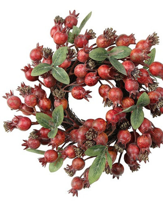 Rene Houtman Krans Roos | Rosa Canina | Rood | D21 cm