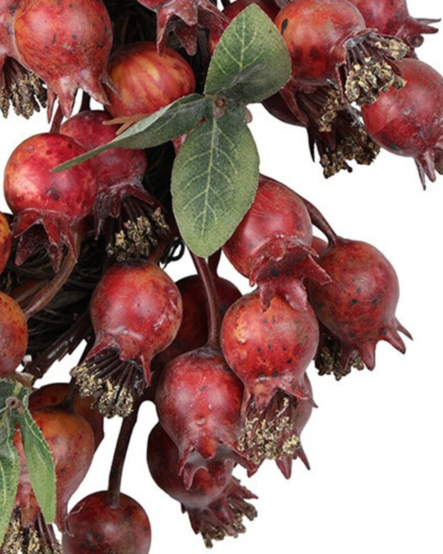 Rene Houtman Krans Roos | Rosa Canina | Rood | D21 cm