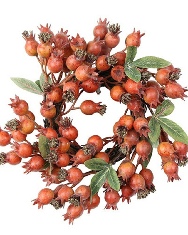 Rene Houtman Krans Roos | Rosa Canina | Oranje | D21 cm