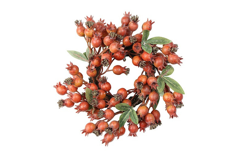 Rene Houtman Krans Roos | Rosa Canina | Oranje | D21 cm