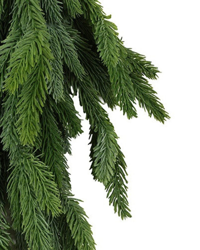 Rene Houtman Toef Abies Nobilis L | Groen | 11x28x63 cm