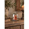 Glazen Stolp Brielle | Medium | H21xD15 cm