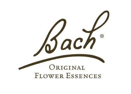 Bach