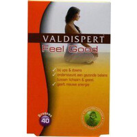 Valdispert Valdispert feel good (stemming) (40drg)
