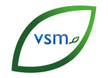 VSM