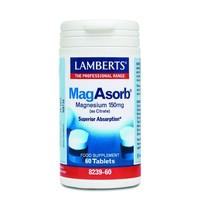 Lamberts Magasorb (magnesium citraat) (60tb)