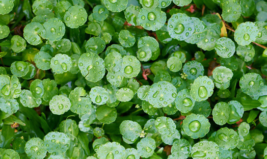 Alles wat u moet weten over COPD en zuurstof Alles wat u moet weten over COPD en zuurstof