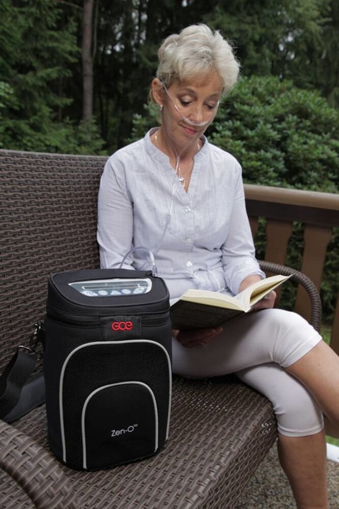 GCE Zen-O with two batteries