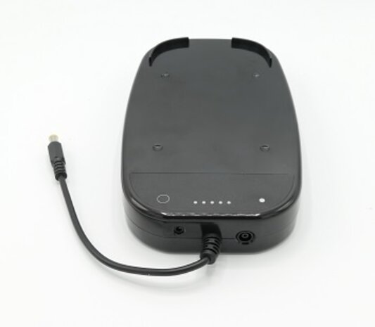 Transcend 365 Batería P10