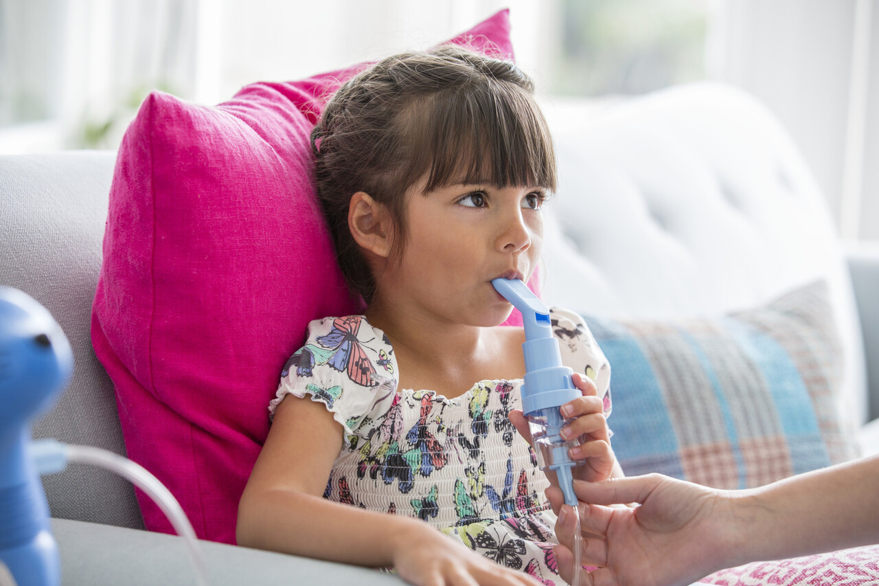 Philips Respironics Sami the Seal Vernevelaar