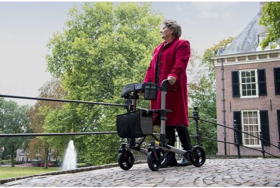 Wheelzahead WheelzAhead Track rollator