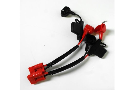 sterling Accukabels 80 AMP Zekering Bec-XS - Tweedehands