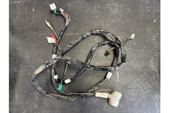 Strider Kabelboom Strider Maxi 4 - Tweedehands