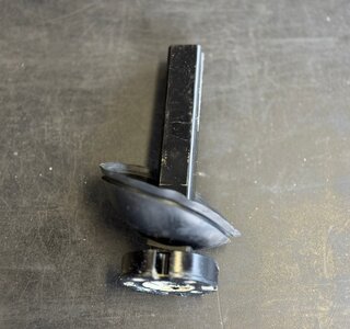 Mango Tiger 4 Stoelpin - Tweedehands