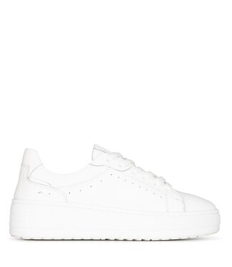 POELMAN Poelman Sneakers (580.30.176)