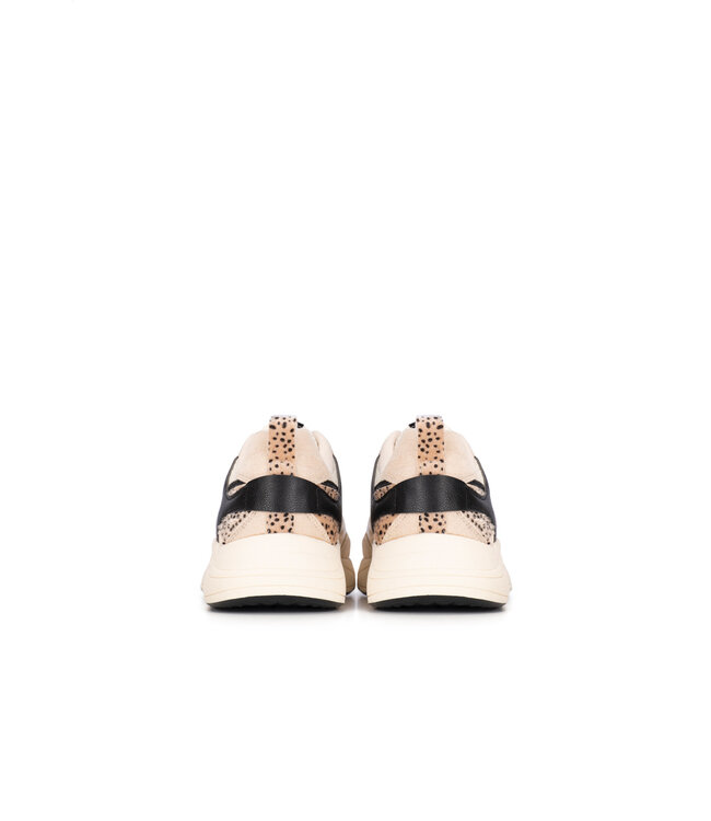 POELMAN SNEAKERS (BEIGE COMBI)