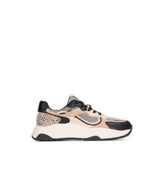 POELMAN Poelman Sneakers (580.19.079)