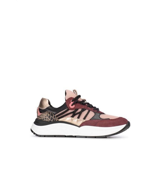 POELMAN SNEAKERS (BORDEAUX)