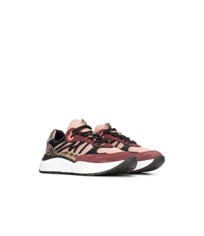POELMAN SNEAKERS (BORDEAUX)