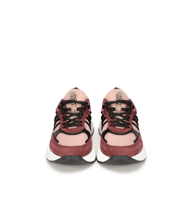 POELMAN SNEAKERS (BORDEAUX)