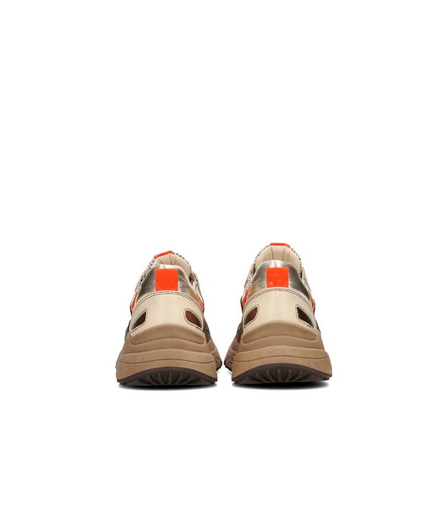 POELMAN SNEAKERS (BRUIN COMBI)