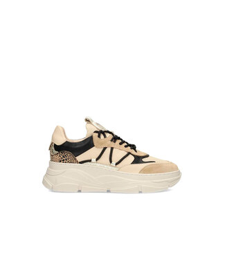 POELMAN Poelman Sneakers (580.40.057)