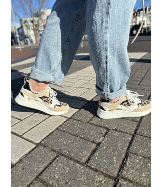 POELMAN Poelman Sneakers (580.41.079)