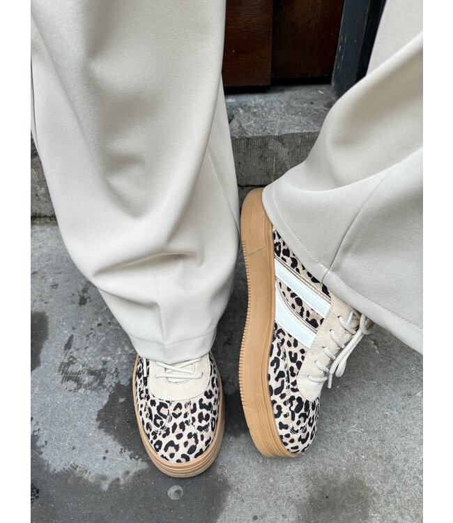 POELMAN SNEAKERS (BEIGE COMBI)