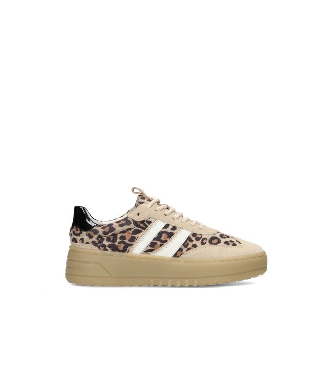 POELMAN Poelman Sneakers (580.41.081)