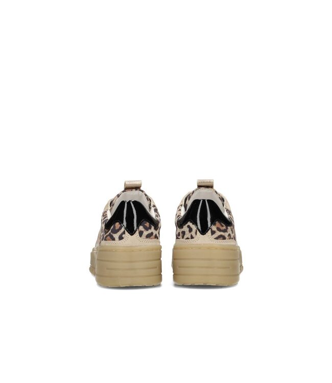 POELMAN SNEAKERS (BEIGE COMBI)