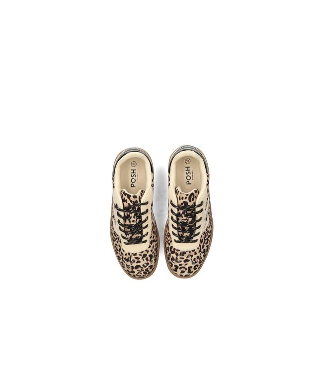 POELMAN SNEAKERS (BEIGE COMBI)