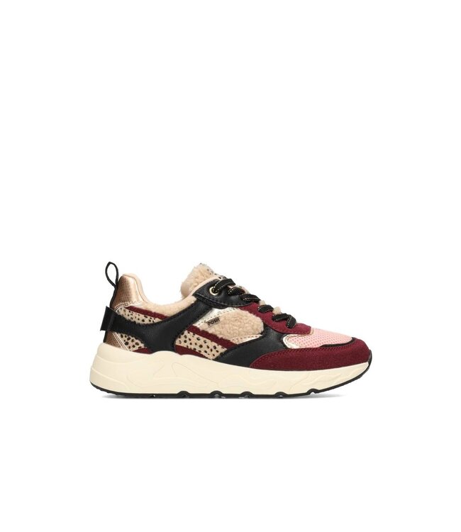 POELMAN SNEAKERS (BORDEAUX)
