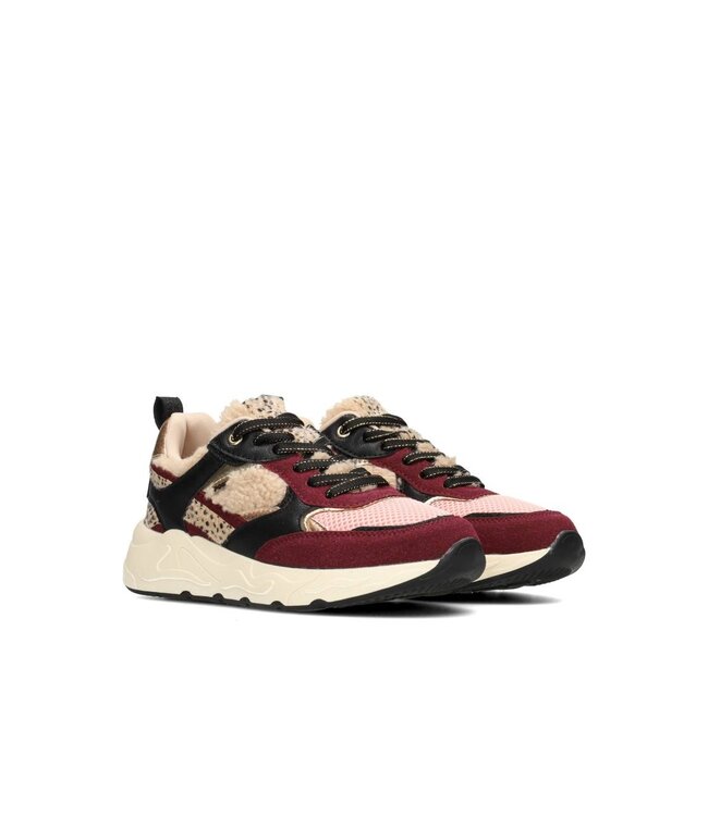 POELMAN SNEAKERS (BORDEAUX)